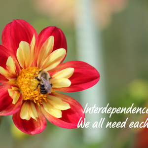 a bumble bee on a flower with a quote " Interdependence- we all need each other"